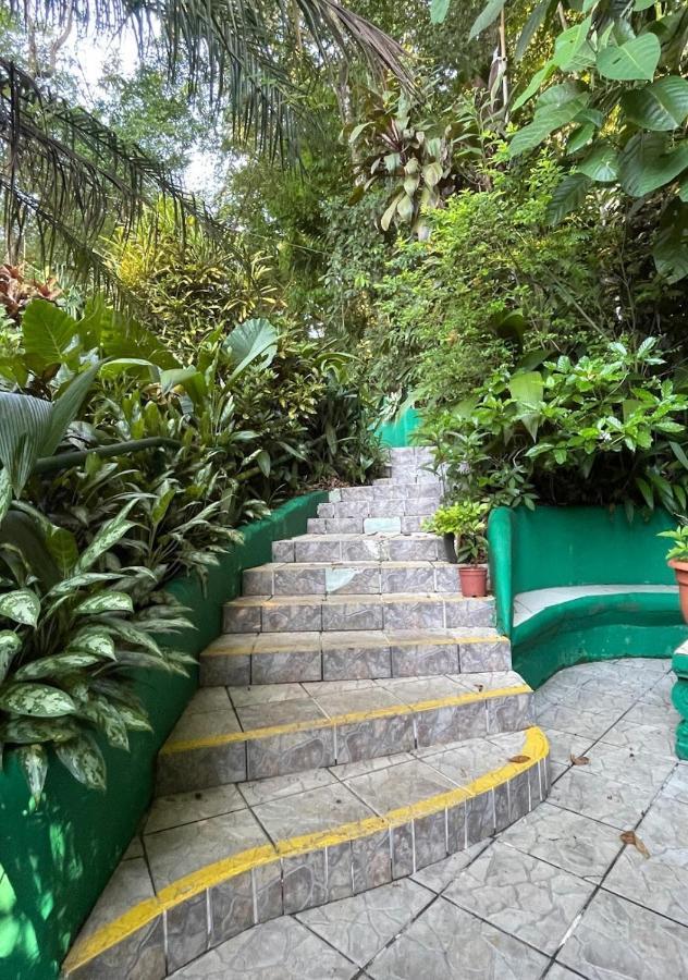 Manuel Antonio Park House - Adults Only Hotel Екстериор снимка